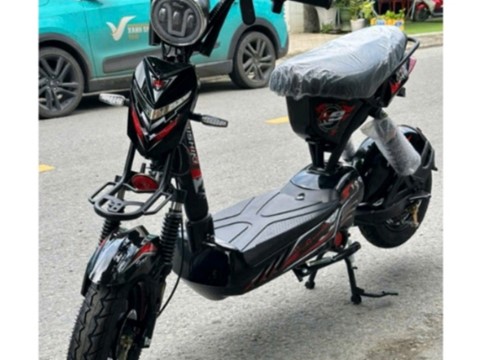 Xe đạp điện M133